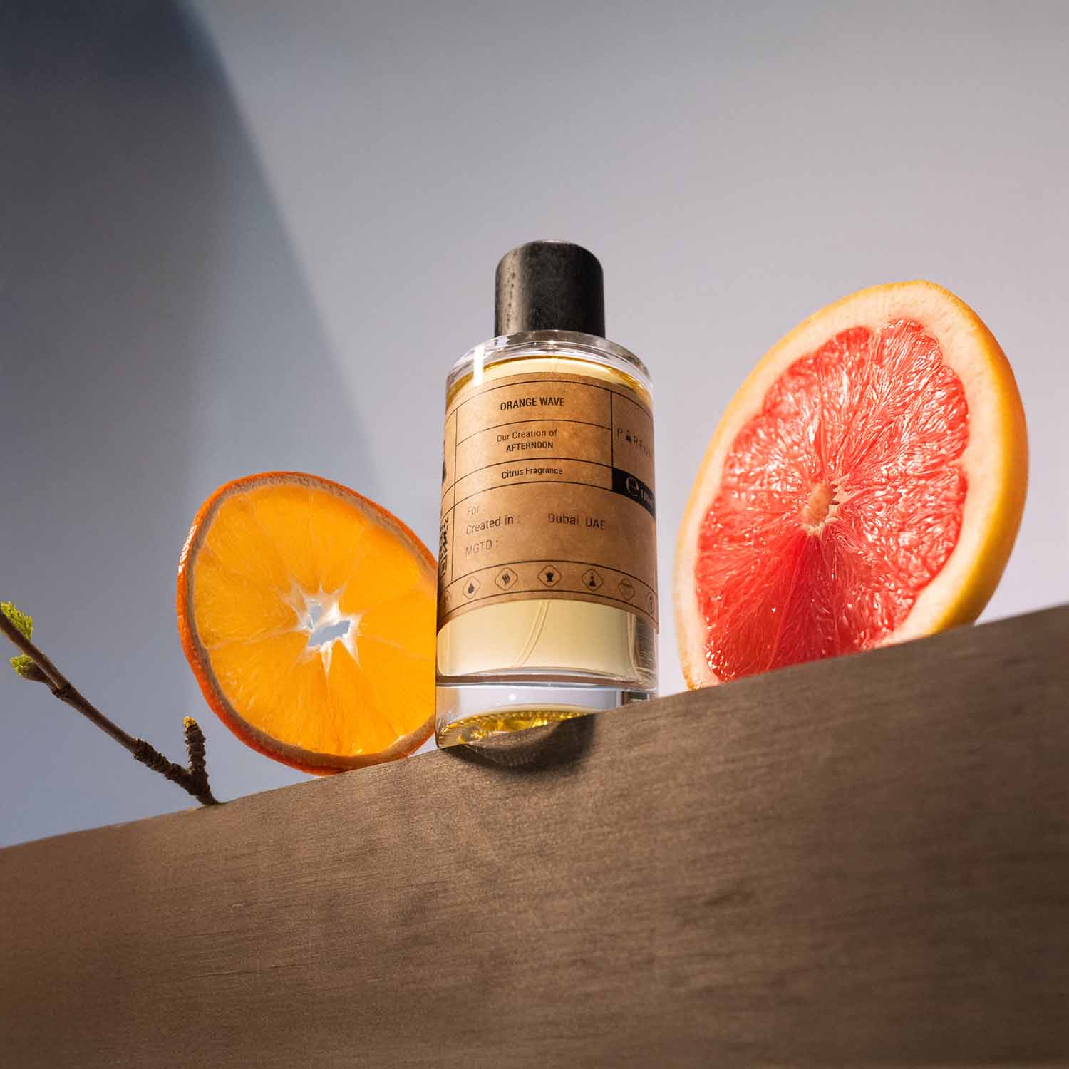 Our Creation of LVEE's After Noon