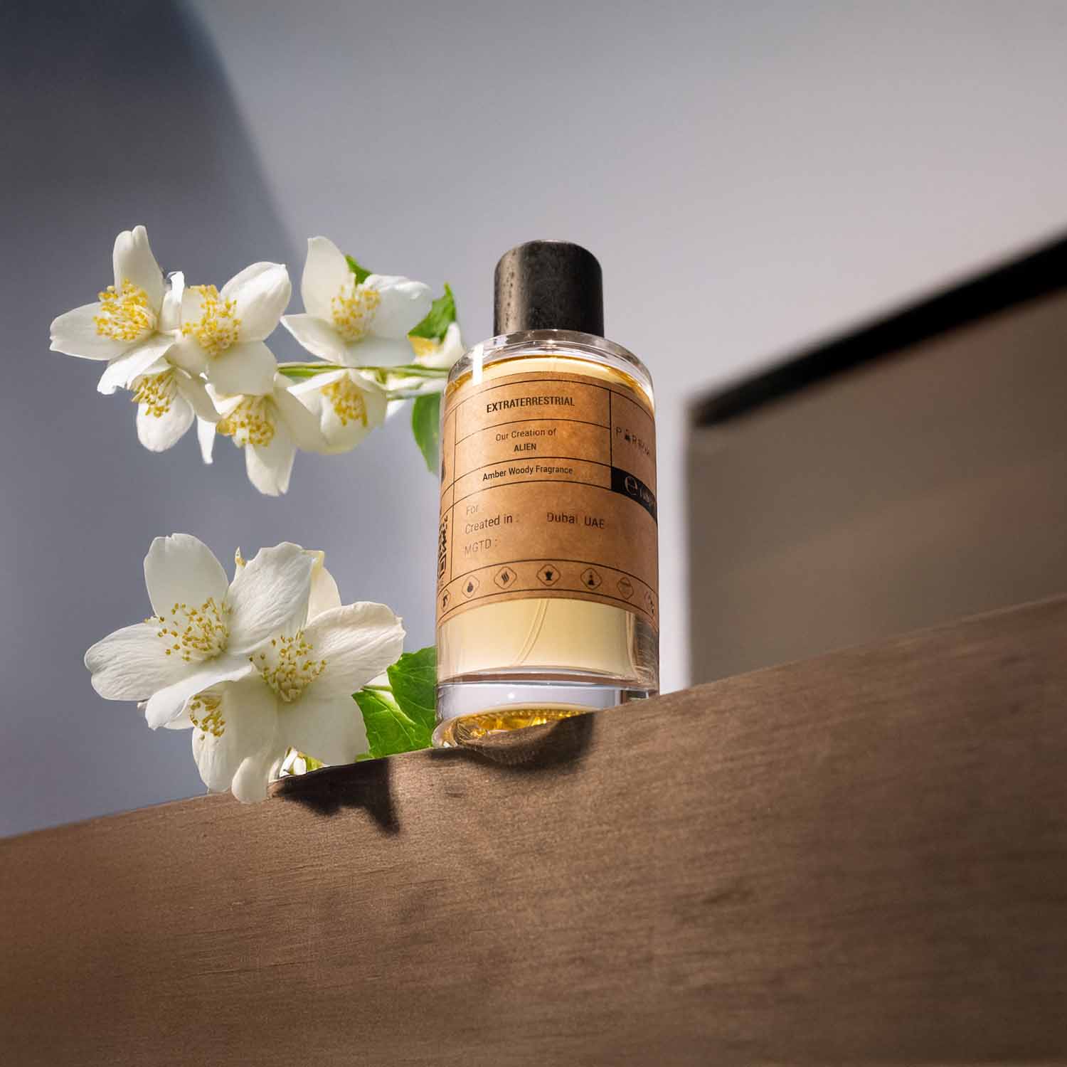 Our Creation of Mugler's Alien