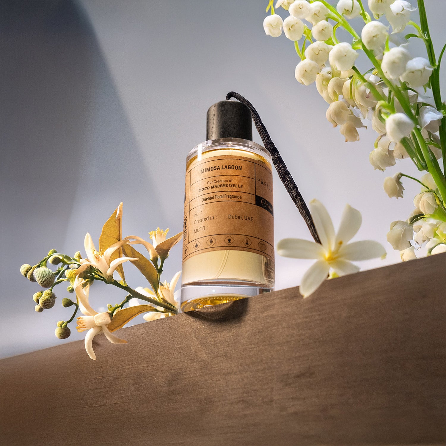 Our Creation of Chanel's Coco Mademoiselle