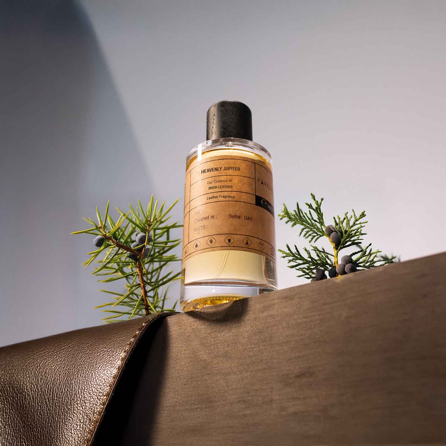 Our Creation of Memo Paris' Irish Leather