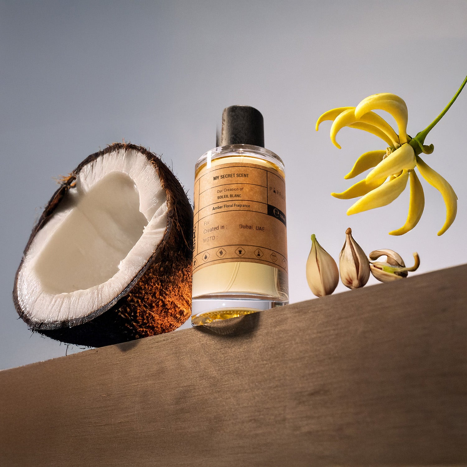 Our Creation of TF's Soleil Blanc