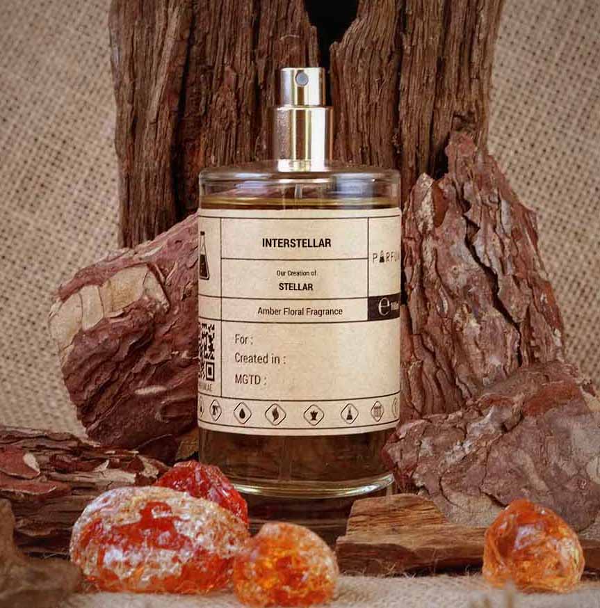 Our Creation of LVEE's Stellar