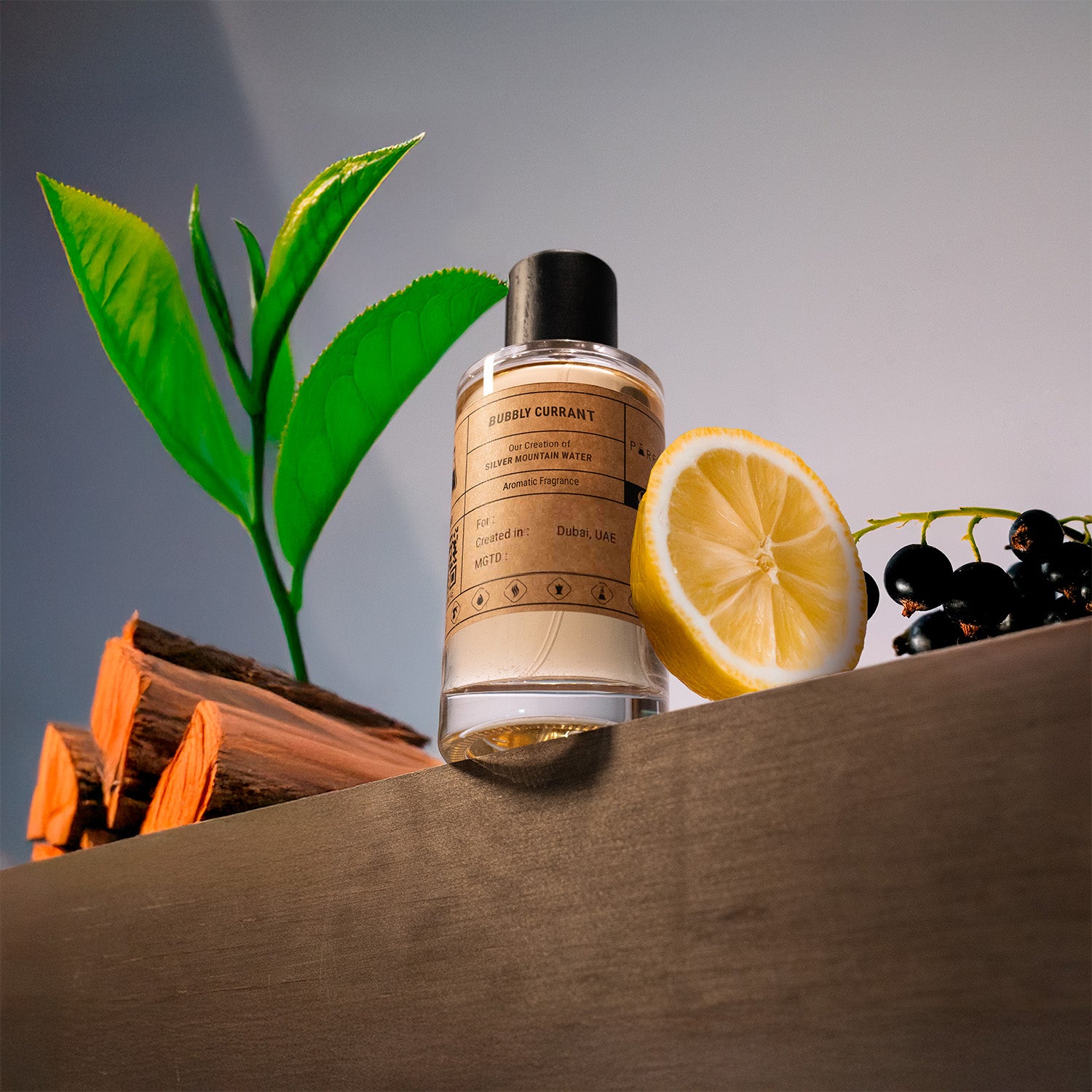 Our Creation of Creed's Silver Mountain Water