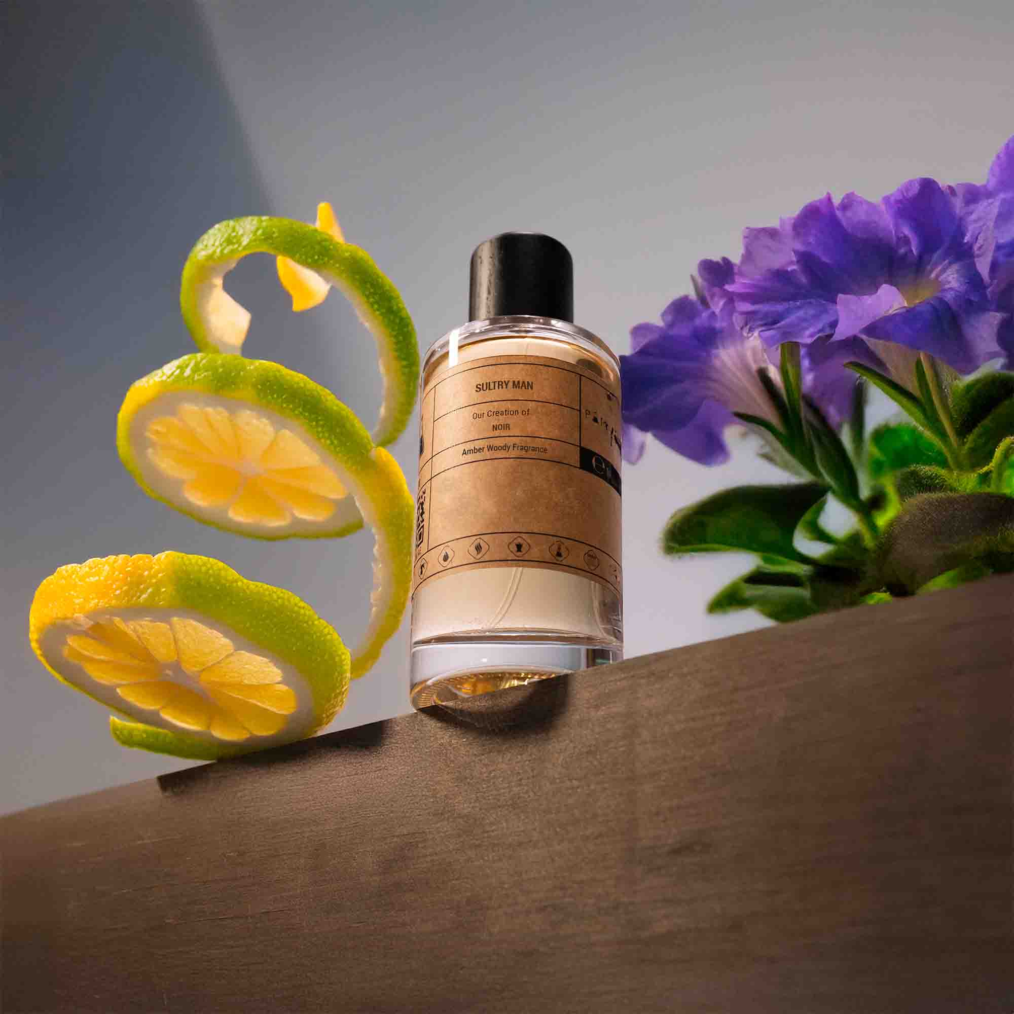 Our Creation of TF's Noir