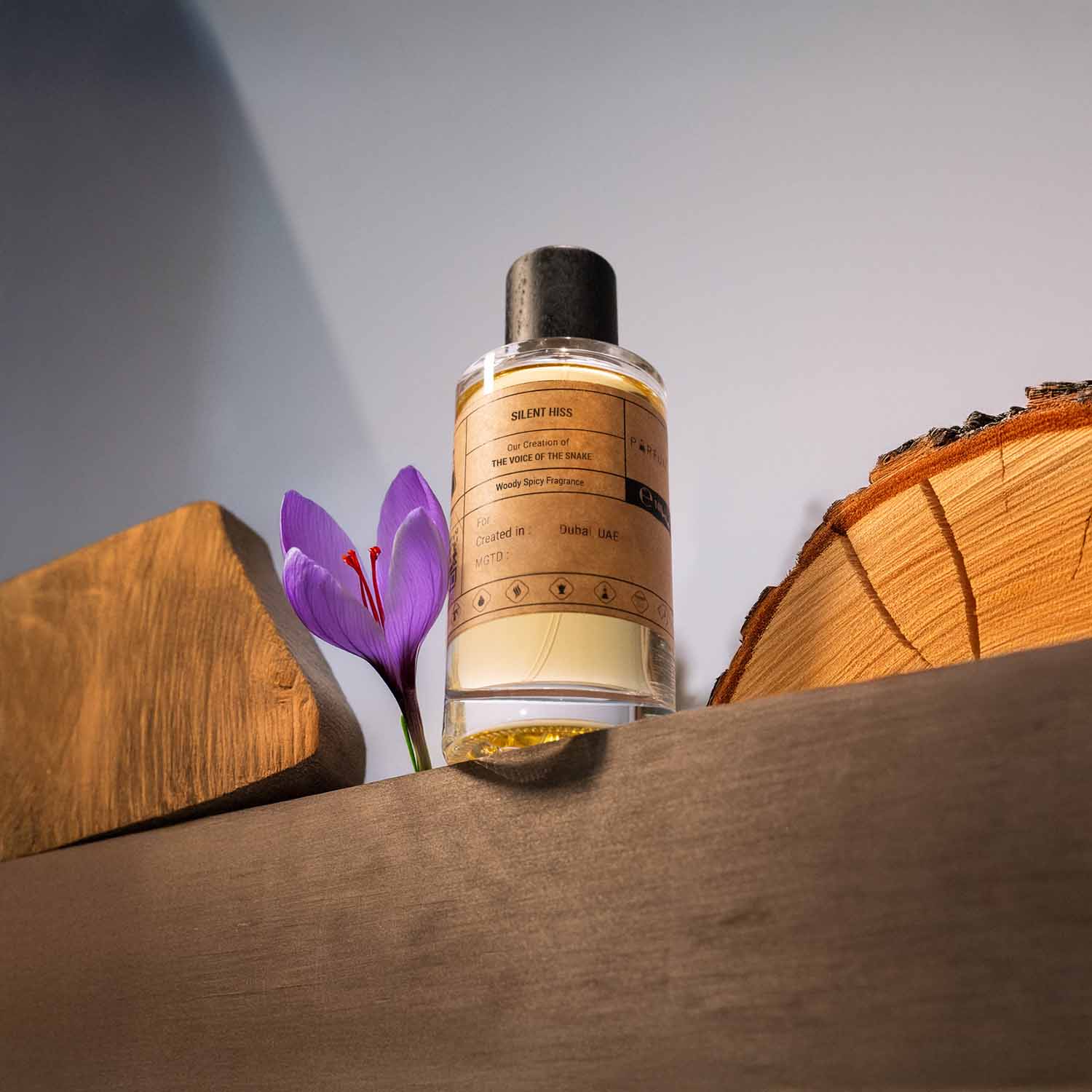 Our Creation of Gucci's The Voice of the Snake