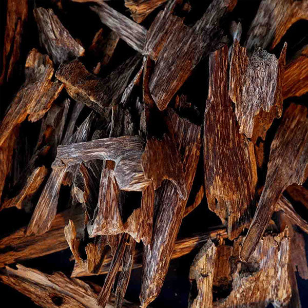 12 GM