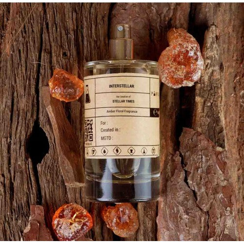 Our Creation of LVEE's Stellar