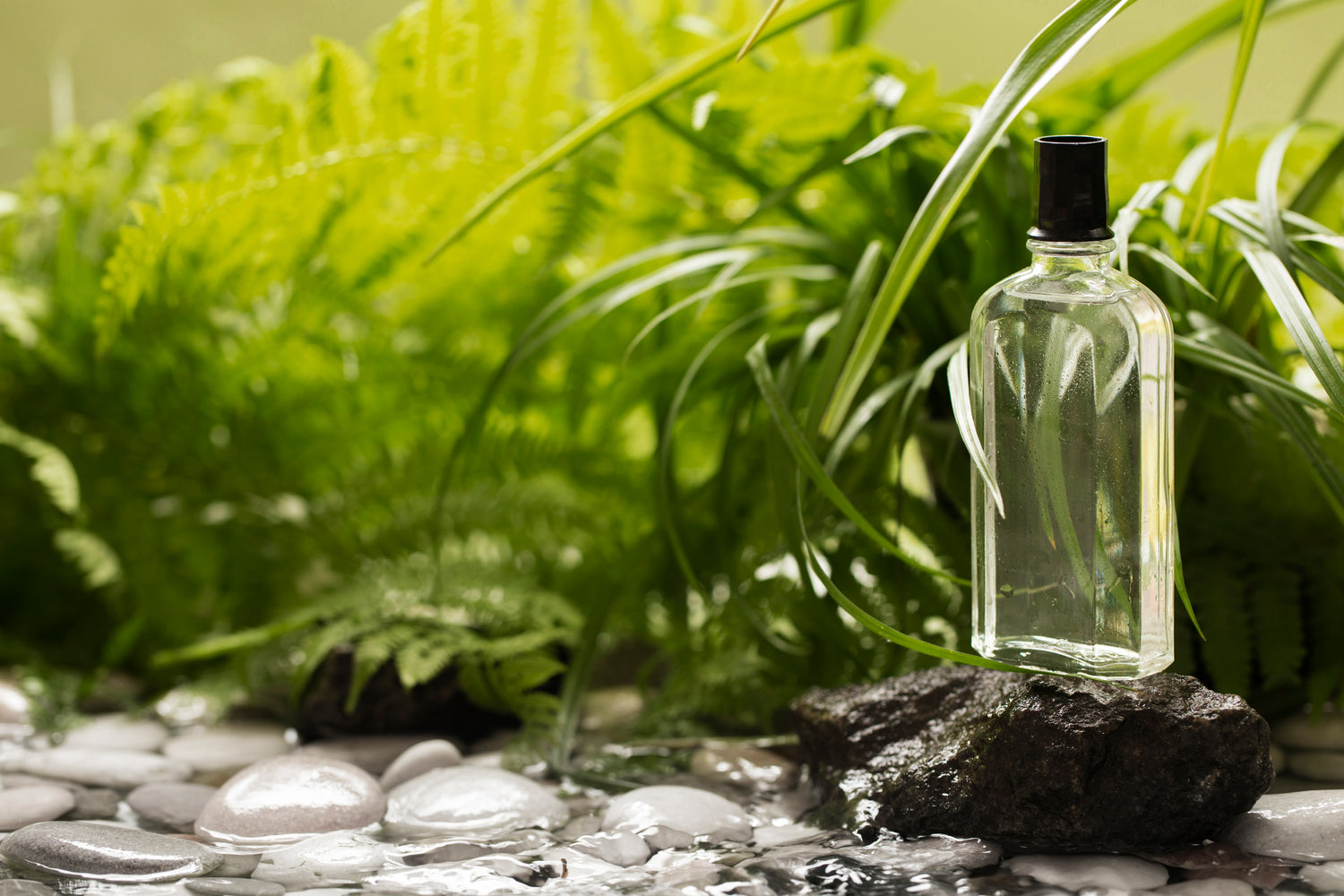 The Rise of Eco-Friendly Perfumes: Sustainability in Fragrance