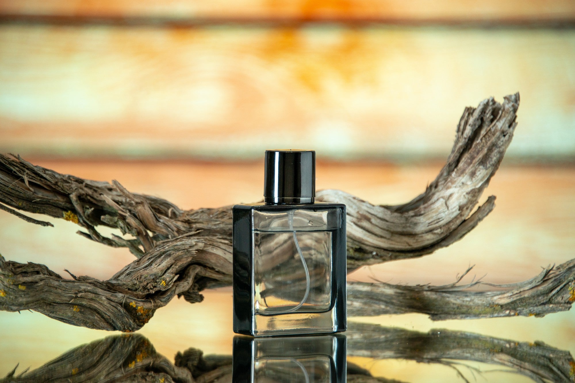 Best Arabian Perfumes for Women