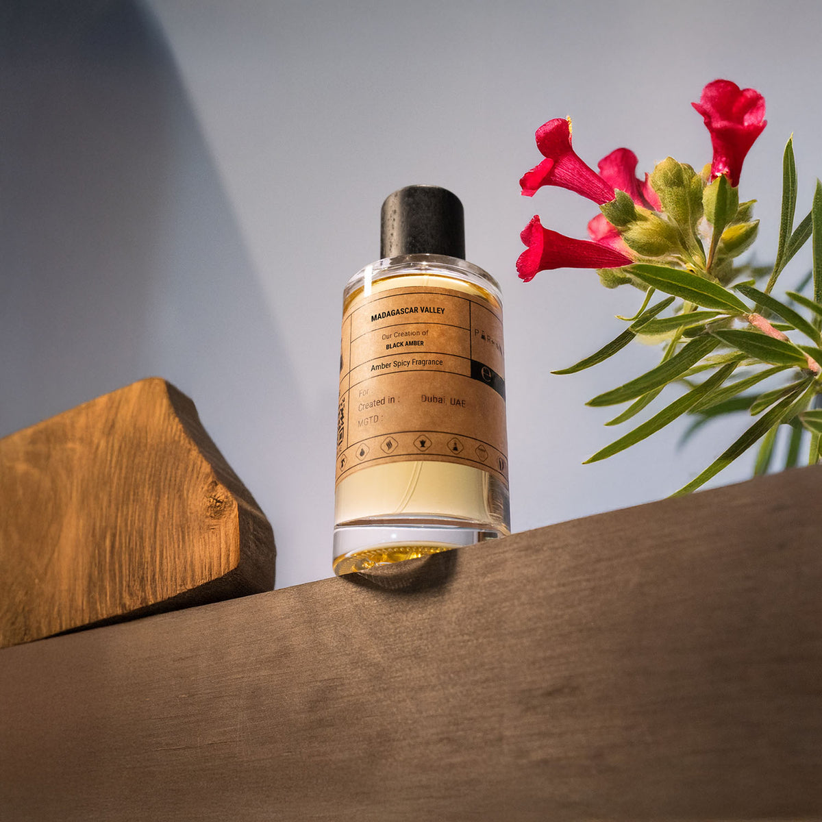 Our Creation of Agonist's Black Amber
