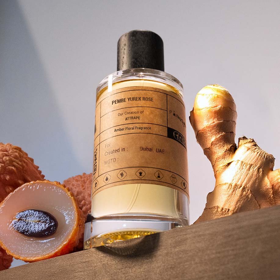 Our Creation of LVEE's Attrape