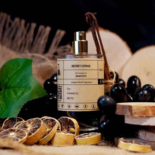 Our Creation of YSL's Manifesto