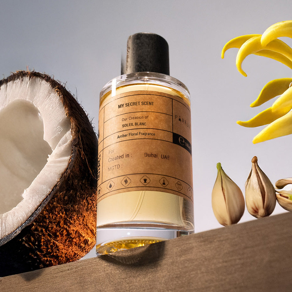 Our Creation of TF's Soleil Blanc