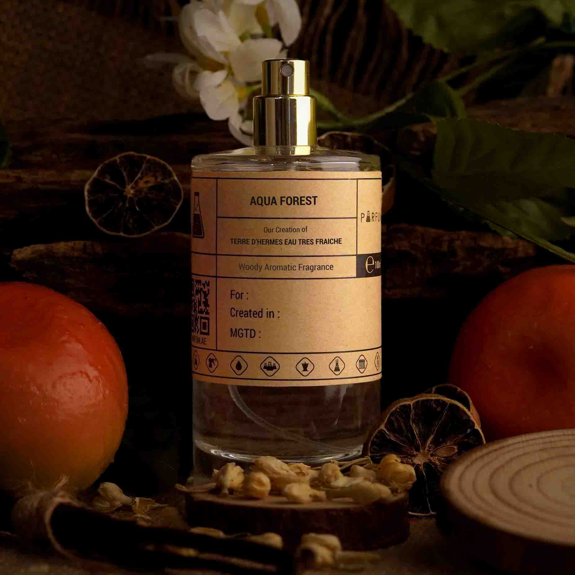 Our Creation of Hermes' Terre d'Hermes Eau Tres Fraiche