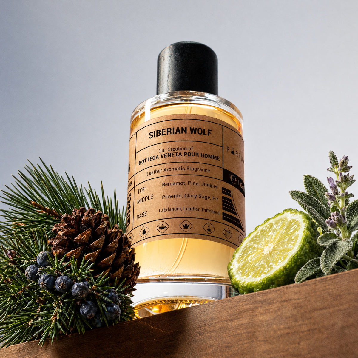 Our Creation of Bottega Veneta Pour Homme